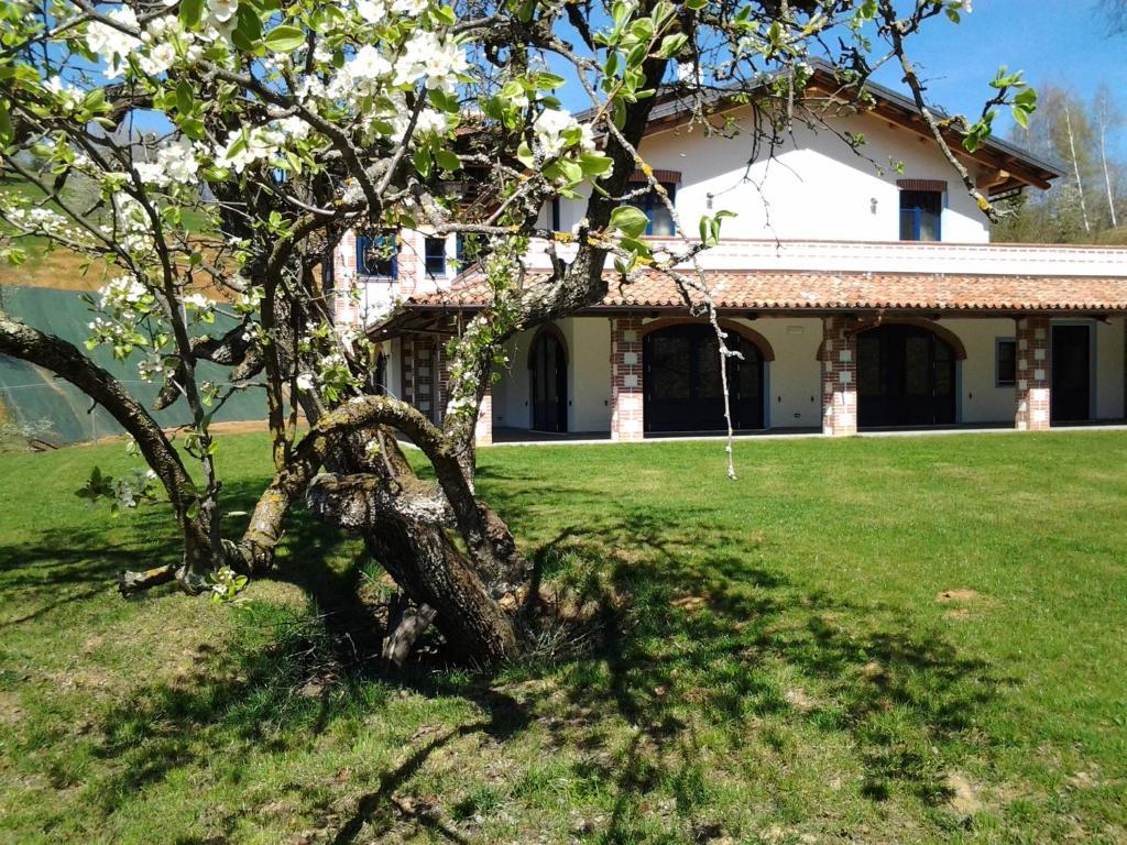Agriturismo Bio-Ecologico Sant'Isidoro Roccaforte Mondovi Exterior photo